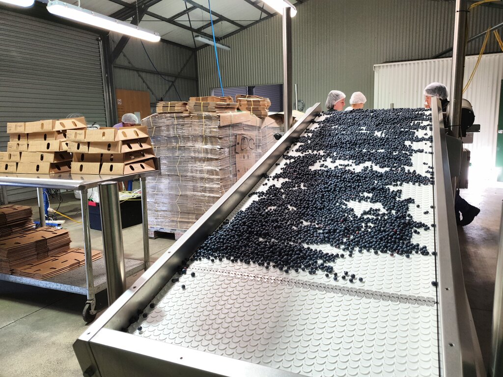 An der Packmaschine arbeiten wir konzentriert bis zu 2h lang