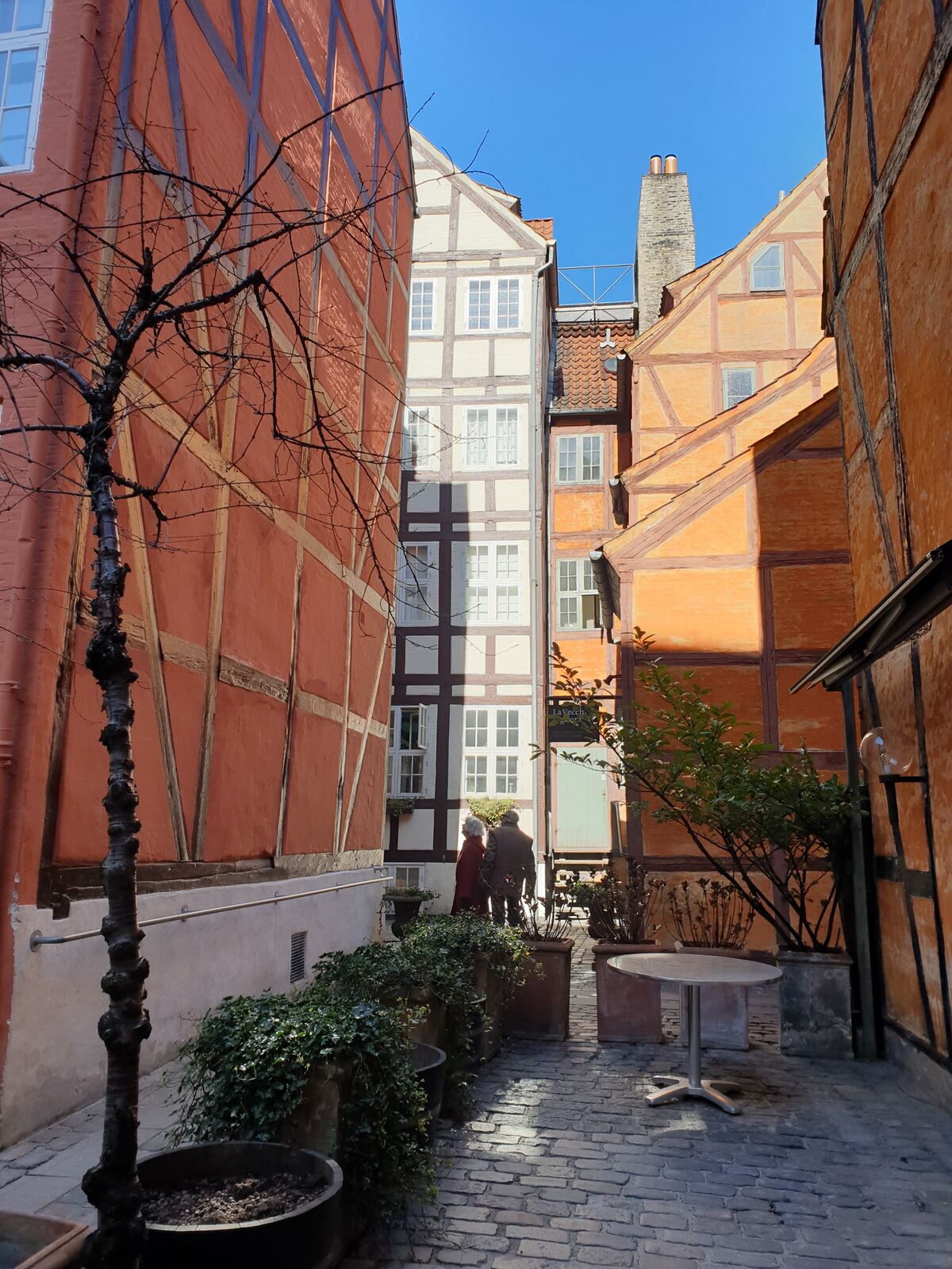 Timber-framed buildings in the old town