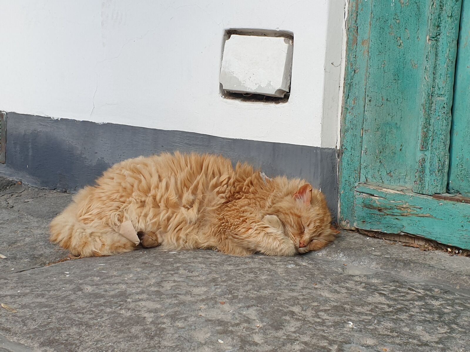 After-lunch nap