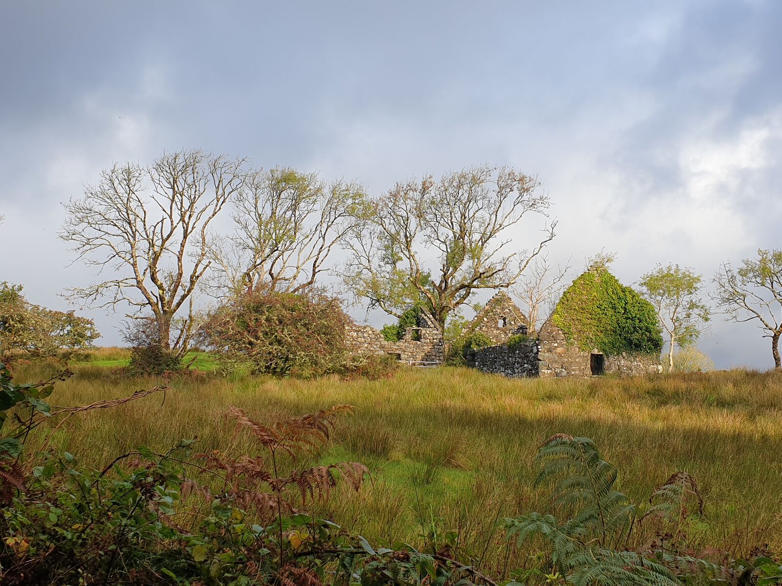 Featured image of post Roadtrip in Irland