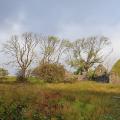Roadtrip in Ireland