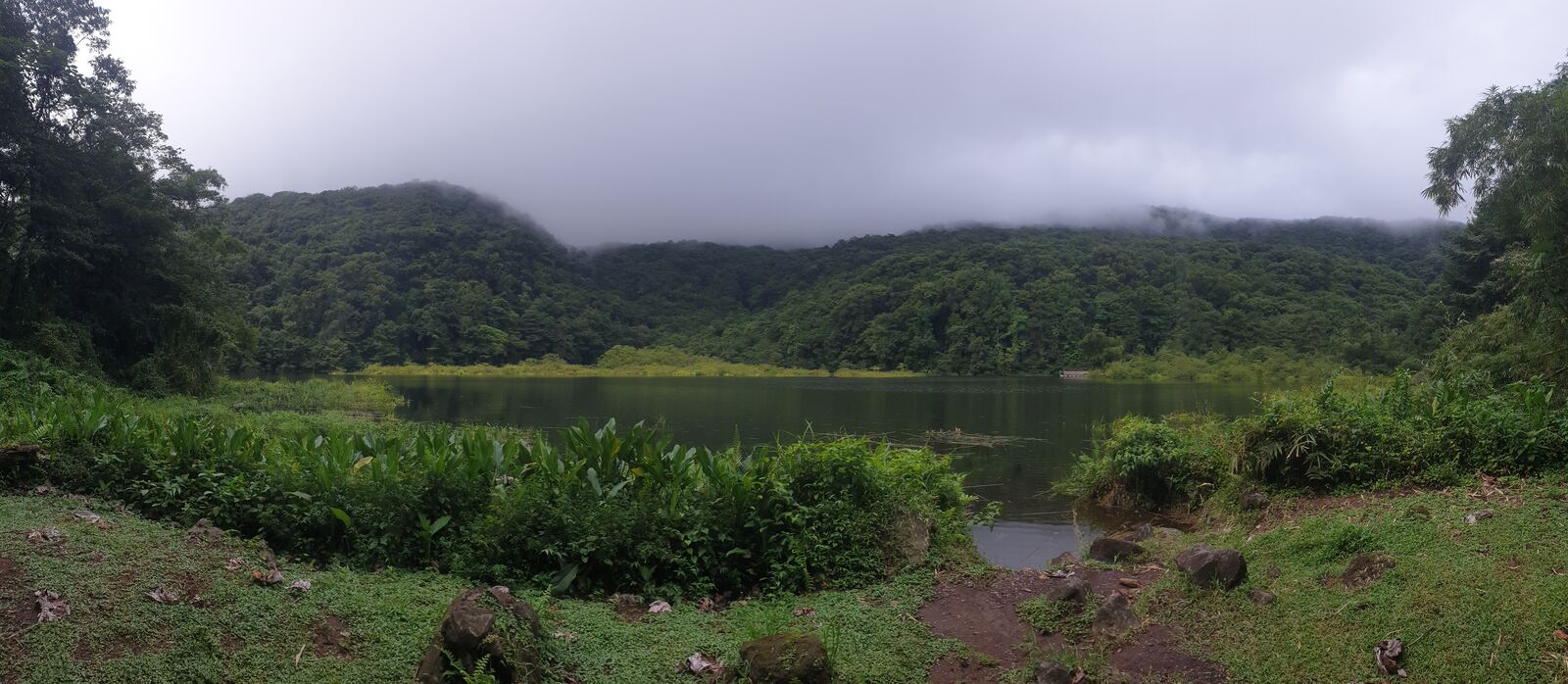 Real tropical rainforest. Dont forget mosquito spray!