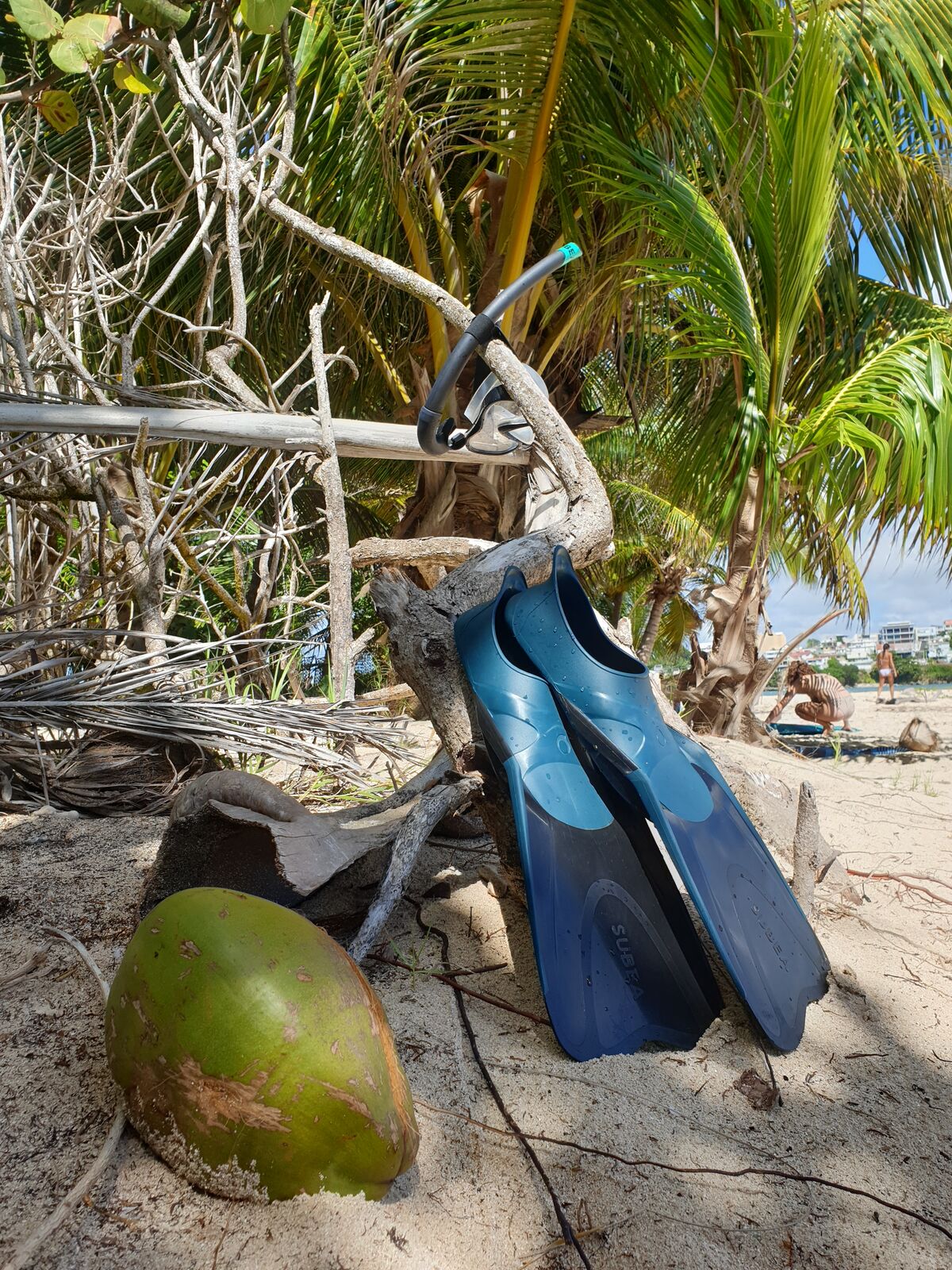 There are many nice places to snorkel around Guadeloupe.