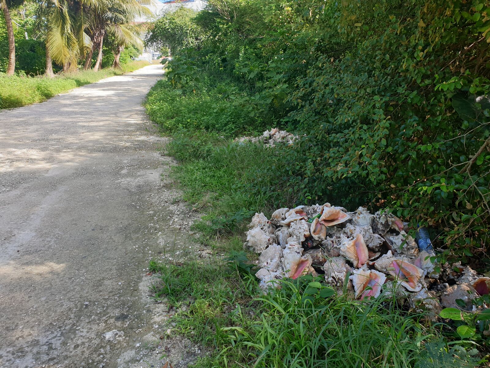 Island waste