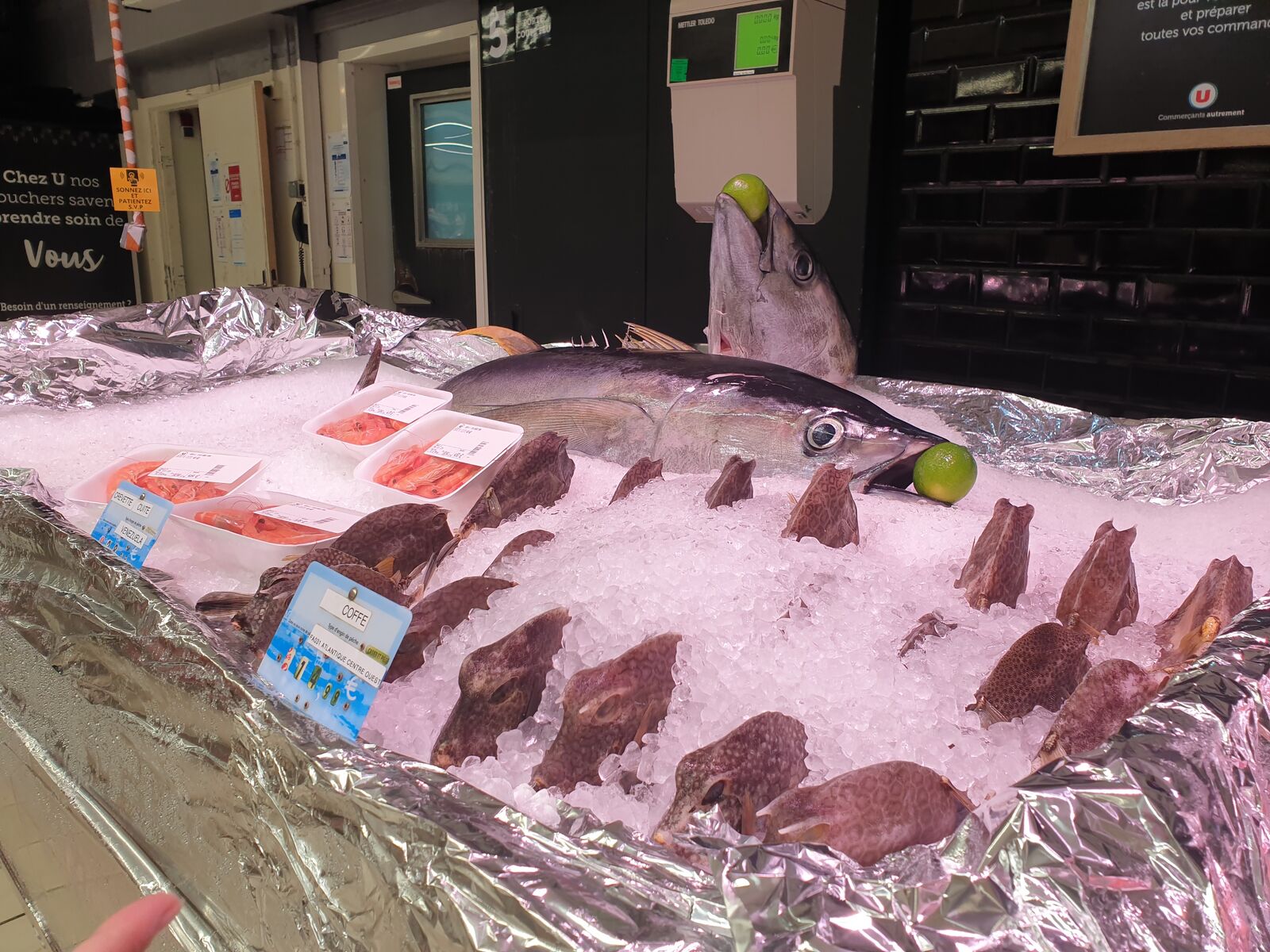 Fresh tuna in the Super U supermarket