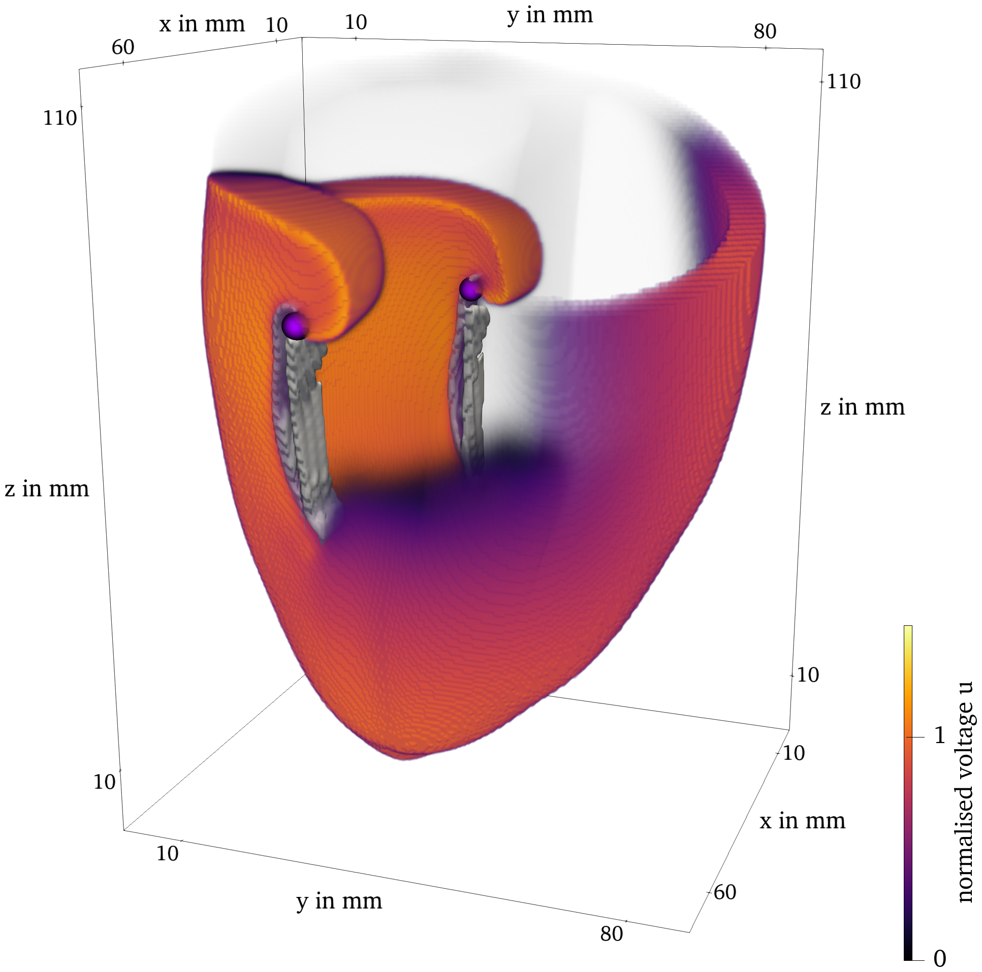 Final frame of Sim. 4 of the BOCF model in ventricle geometry