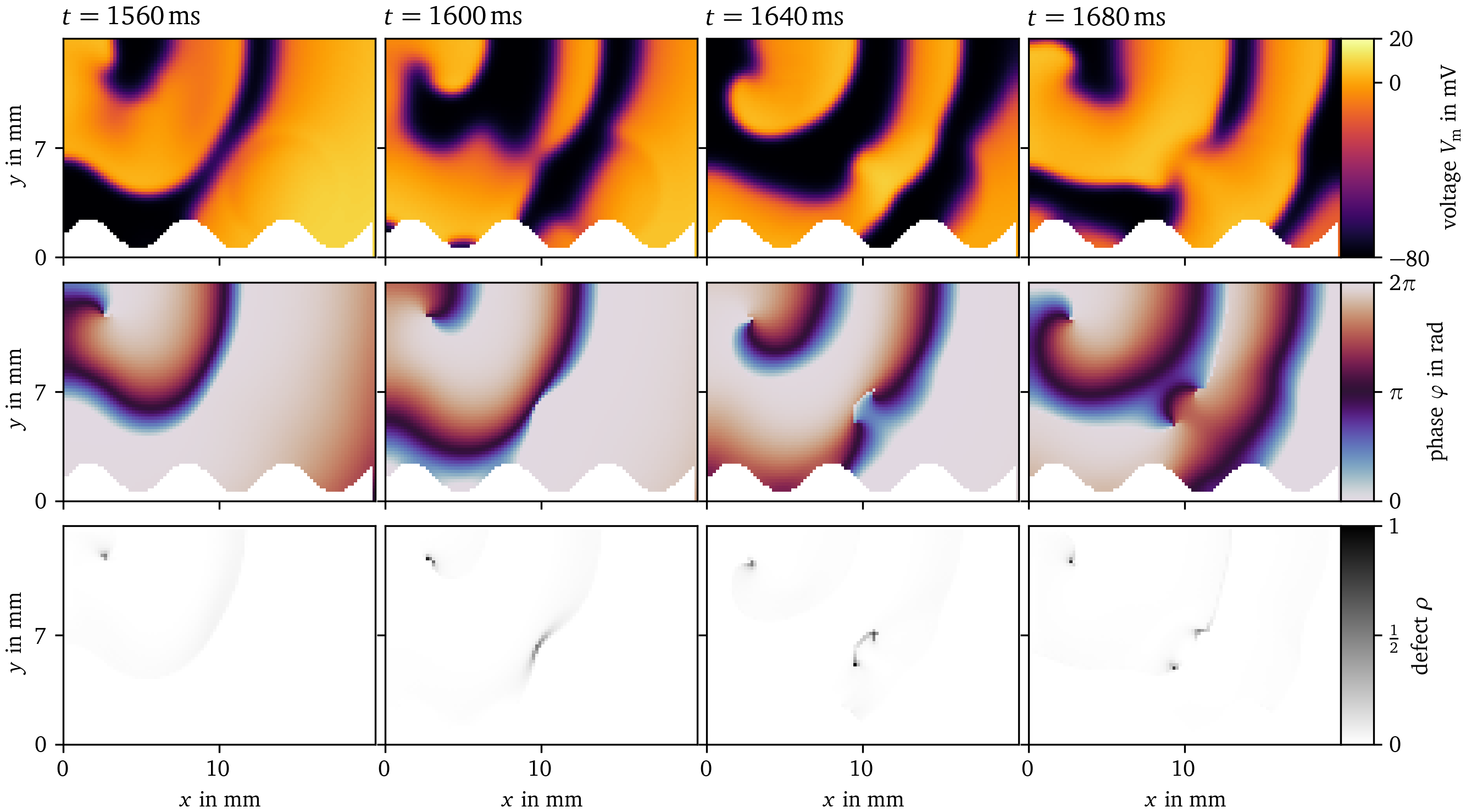 Phase defect detection during figure-of-eight spiral wave pair creation in Sim. 1