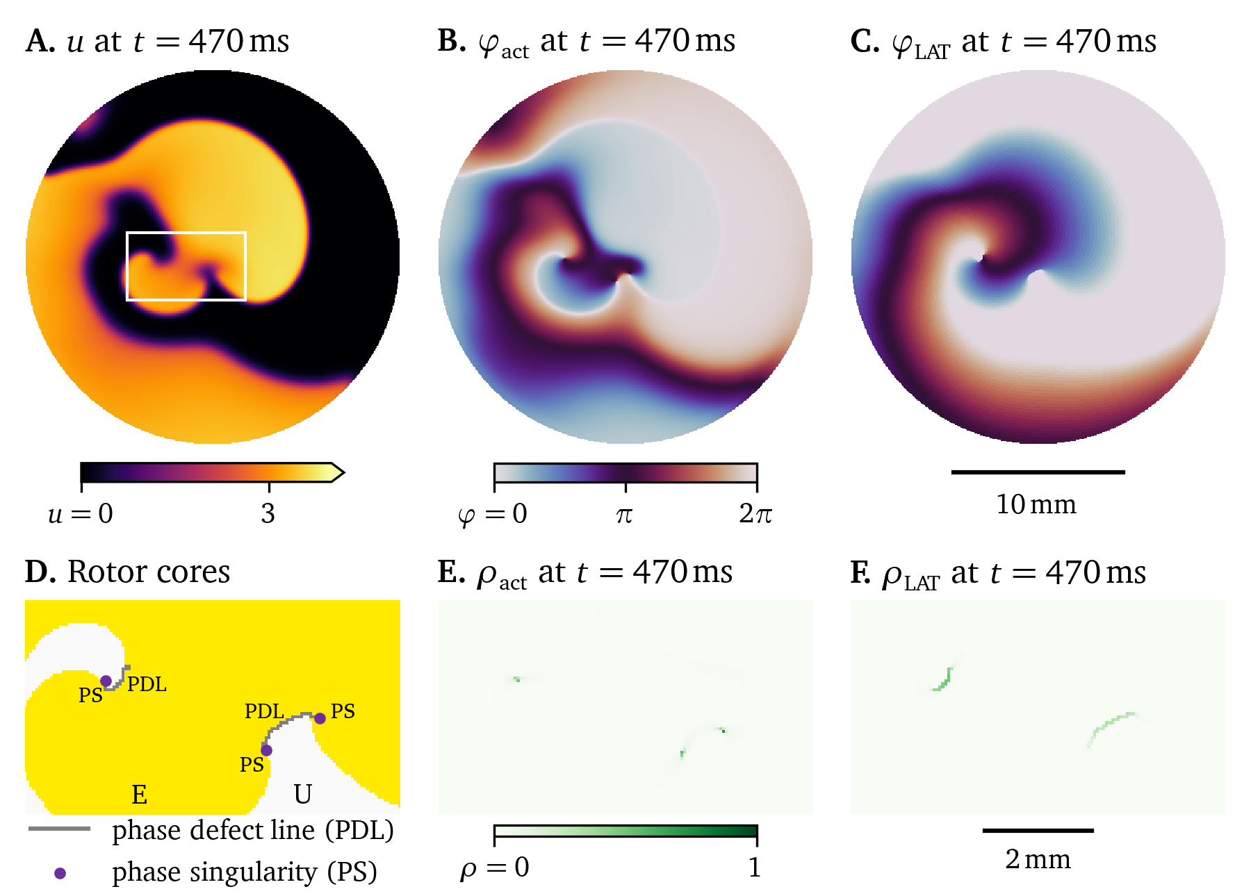 Phase singularities and defects in a simulation of the Karma model