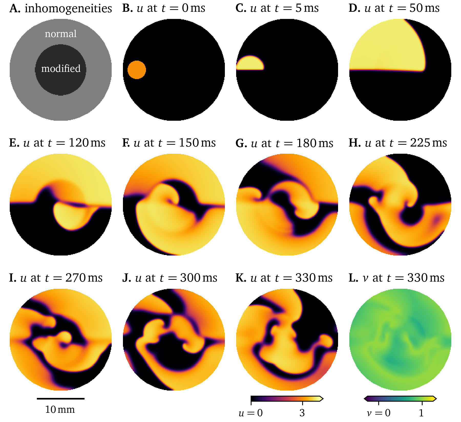 Simulation with inhomogeneous restitution parameters