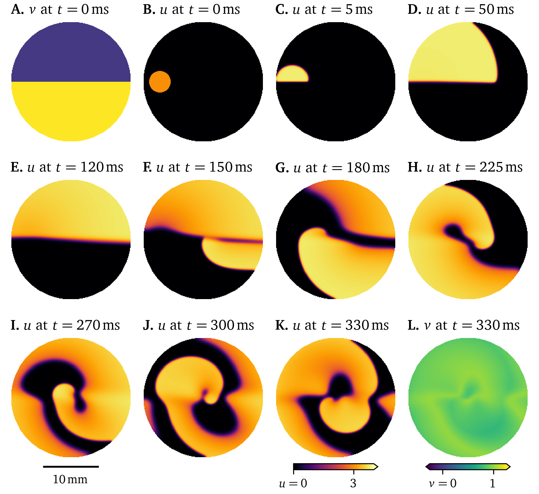 Simulation of the smoothed Karma model